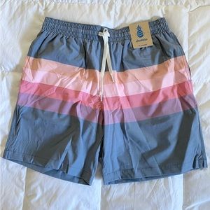 Chubbies Men Swimsuit